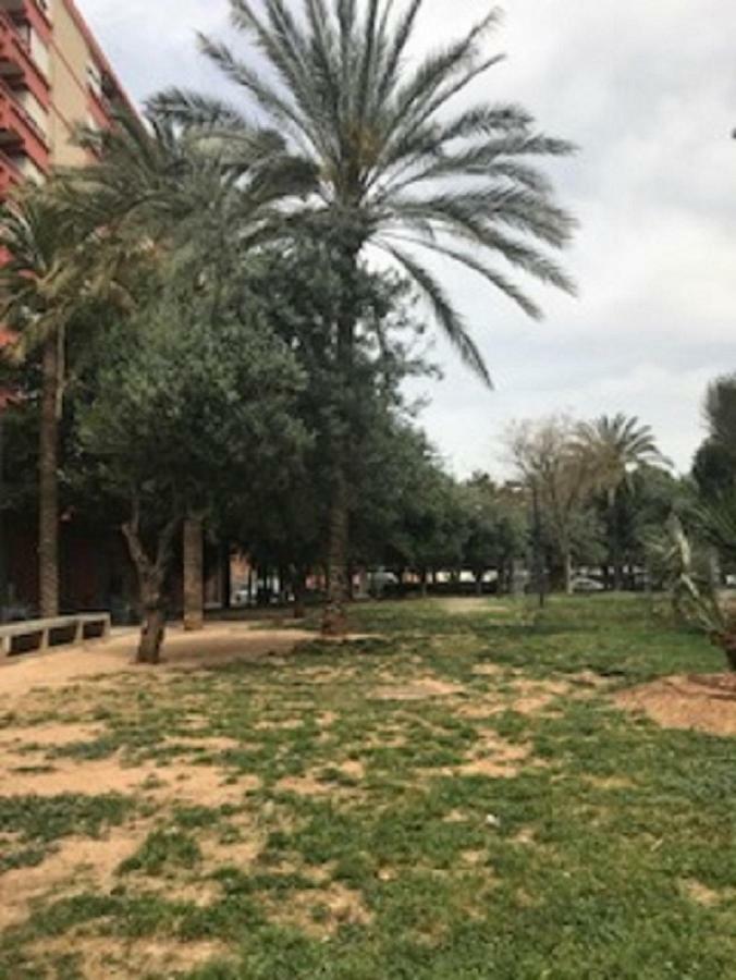 Apartament Doctor Oloriz,31,9 Walencja Zewnętrze zdjęcie